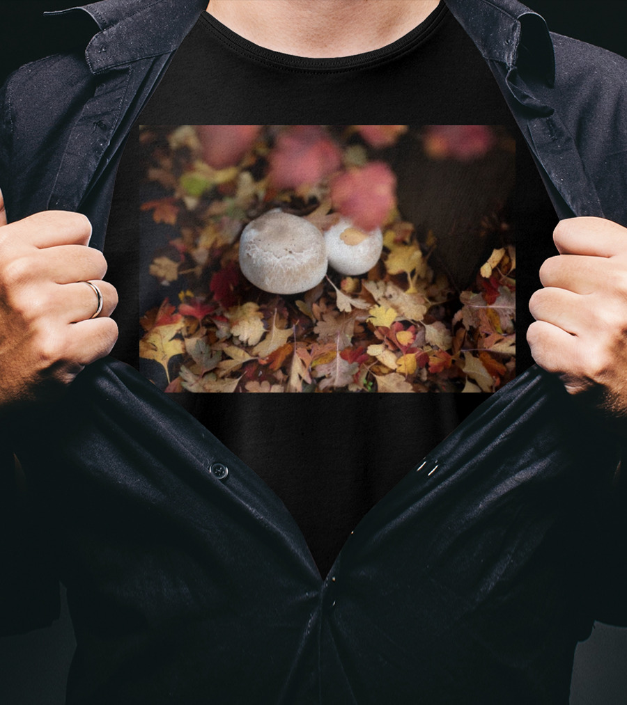 Autumn's Reward Mushrooms Amidst Fall Leaves T-Shirt