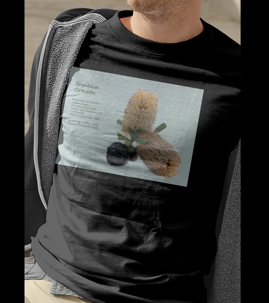 Banksia Ornata Rounded Shrubs Little Desert National Park Flowers T-Shirt