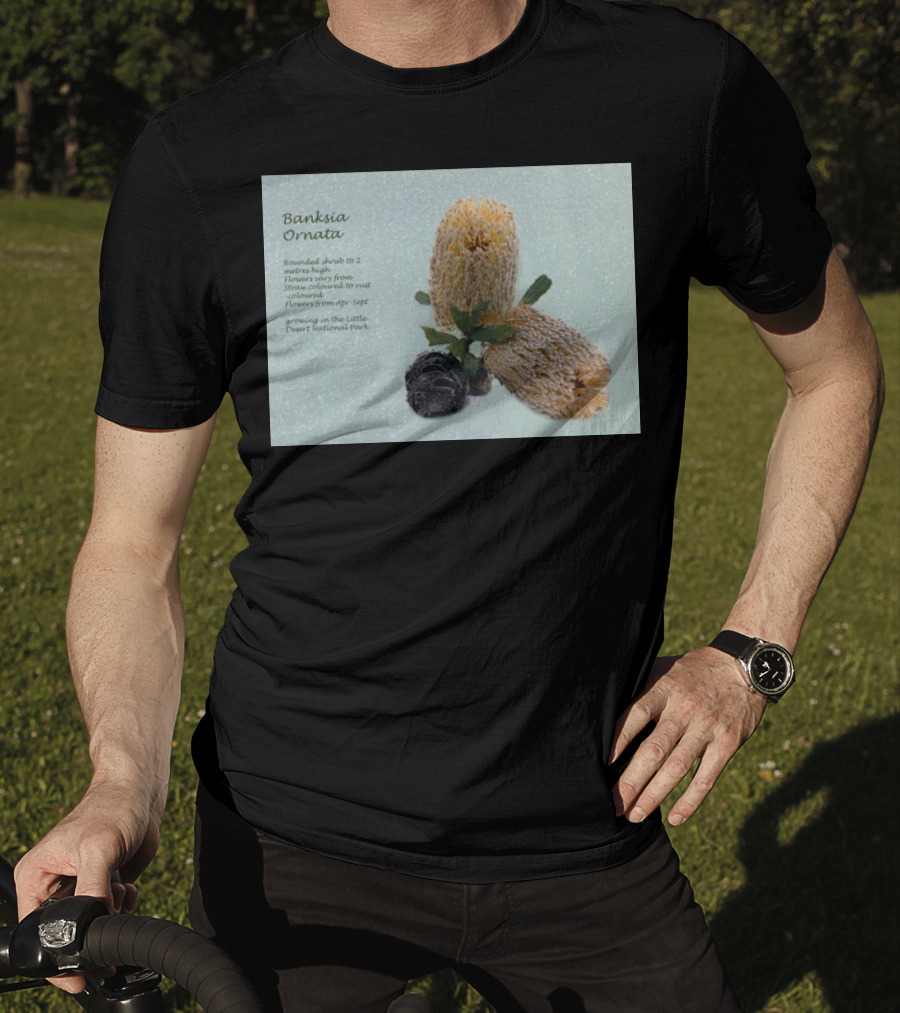 Banksia Ornata Rounded Shrubs Little Desert National Park Flowers T-Shirt