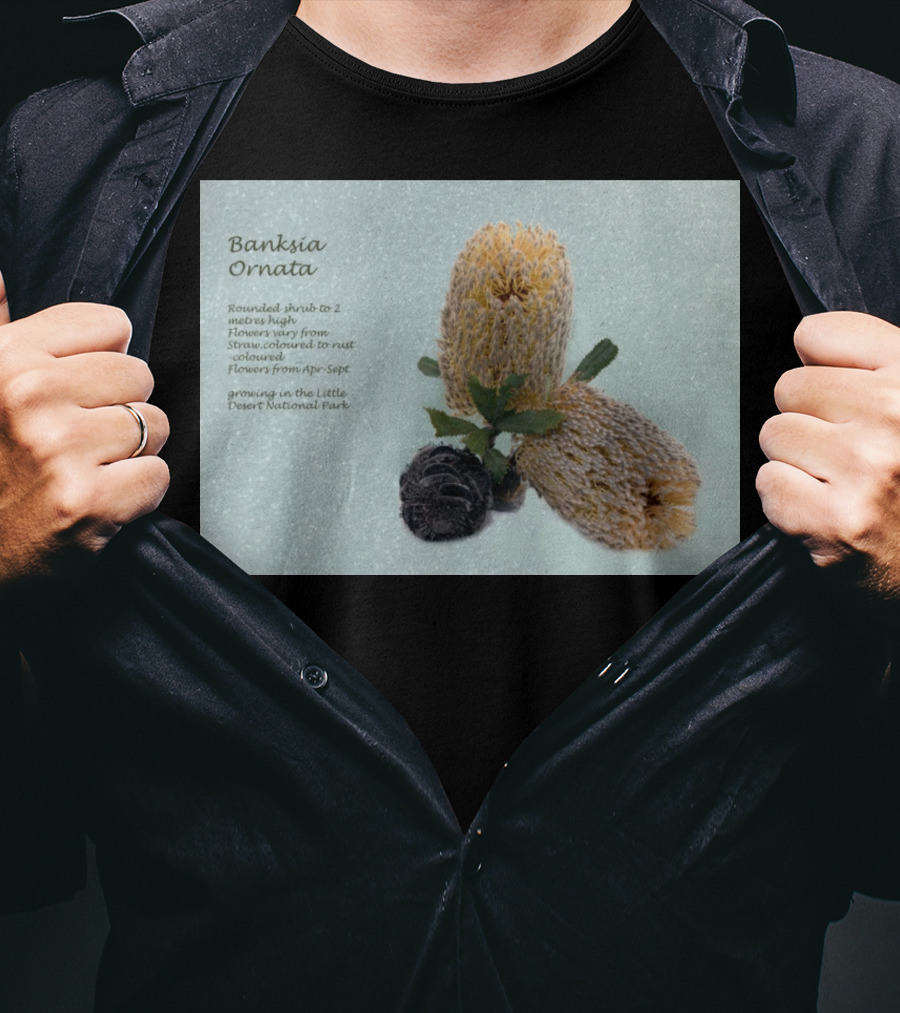 Banksia Ornata Rounded Shrubs Little Desert National Park Flowers T-Shirt