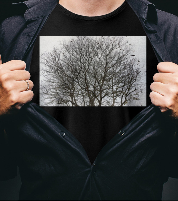 Winters Tracery Branches T-Shirt