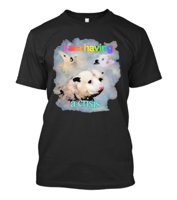 I Am Having A Crisis Possum T-Shirt