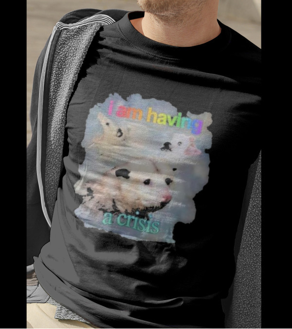 I Am Having A Crisis Possum T-Shirt