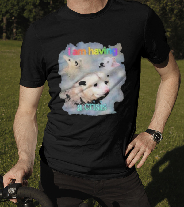 I Am Having A Crisis Possum T-Shirt