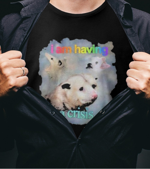I Am Having A Crisis Possum T-Shirt
