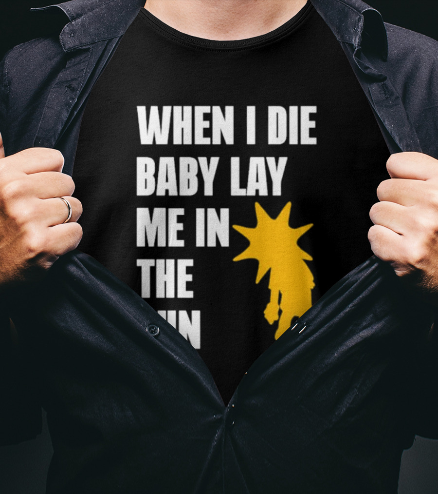 When I Die Baby Lay Me In The Sun Dominic Fike Sunburst T-Shirt