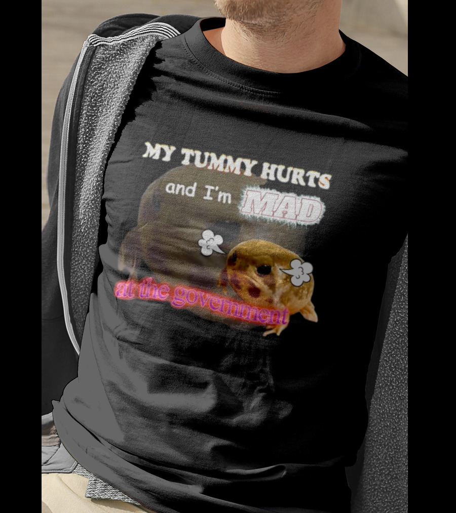 My Tummy Hurts And I'm MAD At The Government Frog Meme T-Shirt