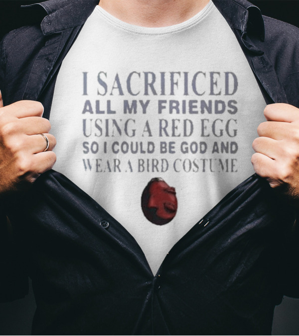 I Sacrificed All My Friends Using A Red Egg So I Could Be God And Wear A Bird Costume T-Shirt