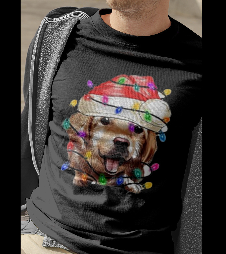 Christmas Lights Dog Lover Santa Hat Raglan T-Shirt