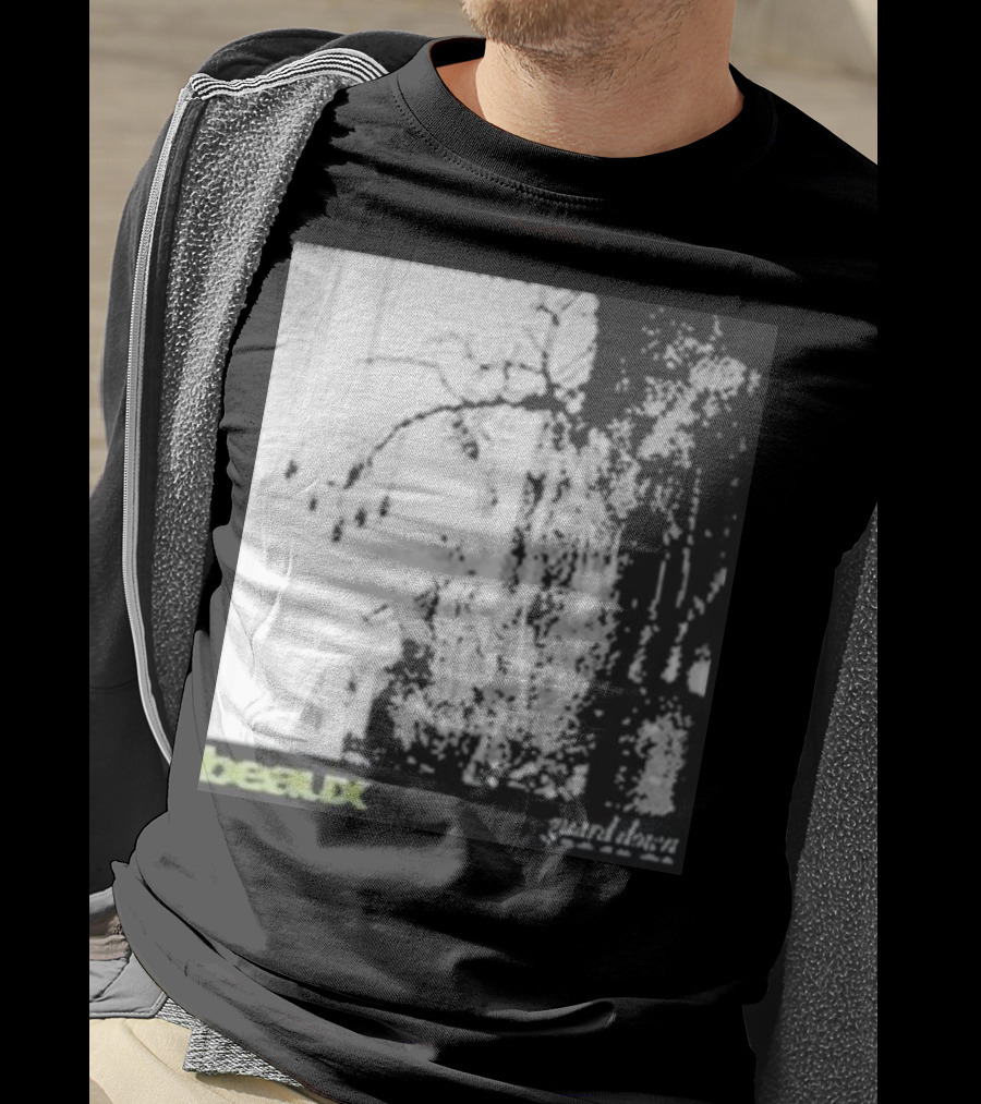 Dirty Hit Store Beauxguard Down Beaux Guard Down T-Shirt