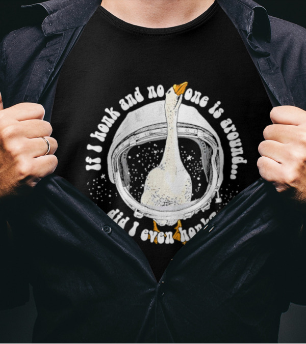 If I Honk And No One Is Around Did I Even Honk Goose In Astronaut Helmet T-Shirt