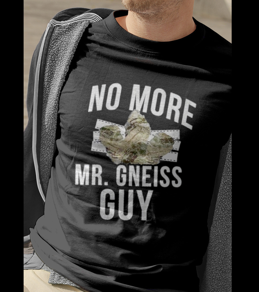 No More Mr Gneiss Guy Rock Pun With Illustrated Gneiss Formation T-Shirt