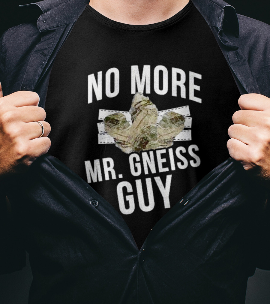 No More Mr Gneiss Guy Rock Pun With Illustrated Gneiss Formation T-Shirt