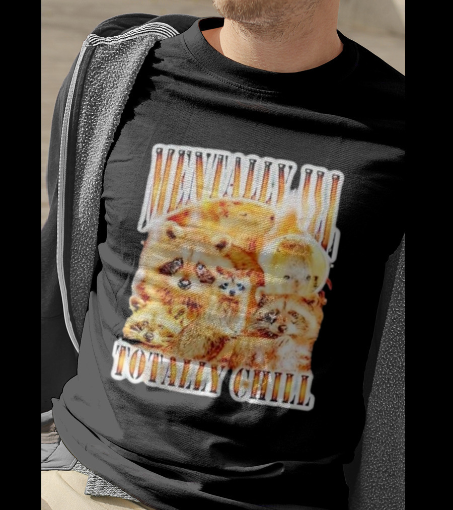 Mentally Ill Totally Chill Raccoon Vintage T-Shirt
