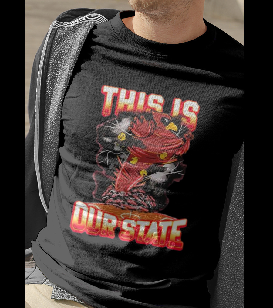 THIS IS OUR STATE Arizona Cardinals Official NFL Team Gear T-Shirt