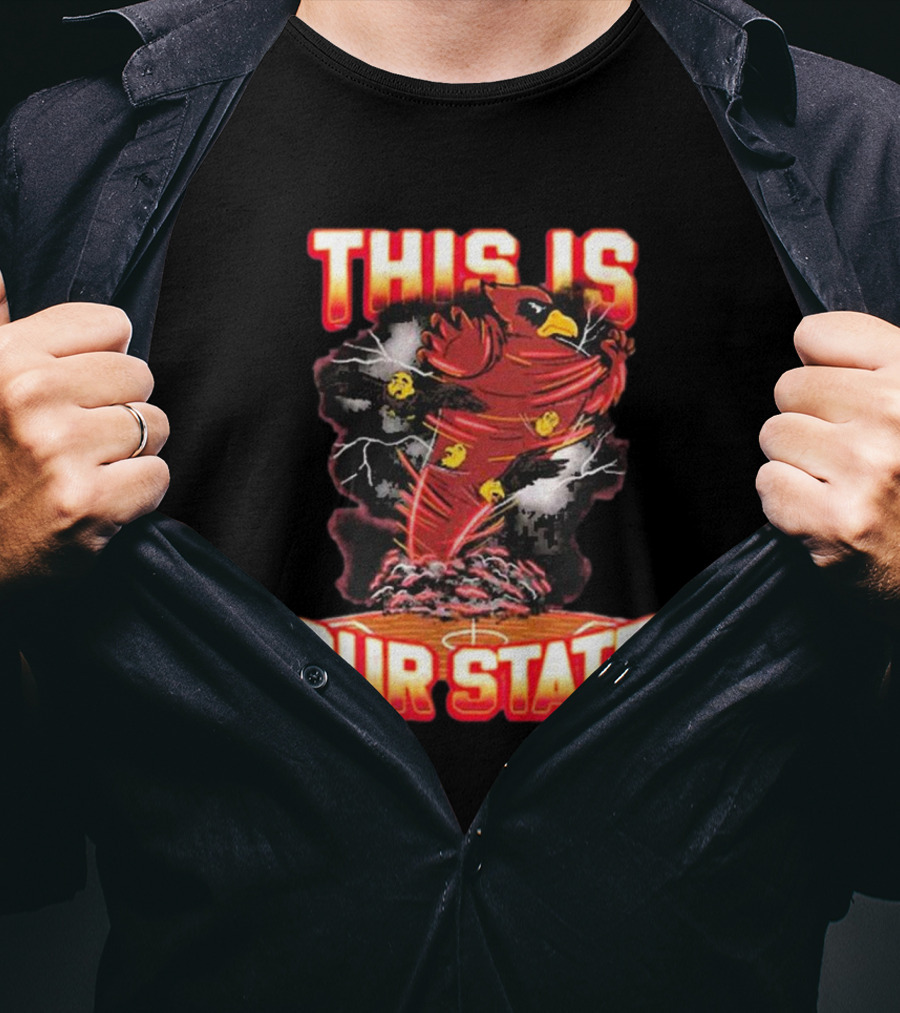 THIS IS OUR STATE Arizona Cardinals Official NFL Team Gear T-Shirt