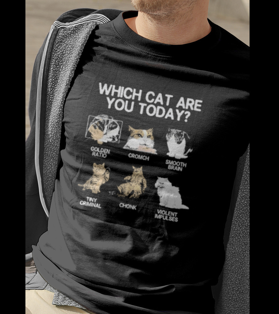 Which Cat Are You Today Golden Ratio Cromch Smooth Brain Tiny Criminal Chonk Violent Impulses T-Shirt