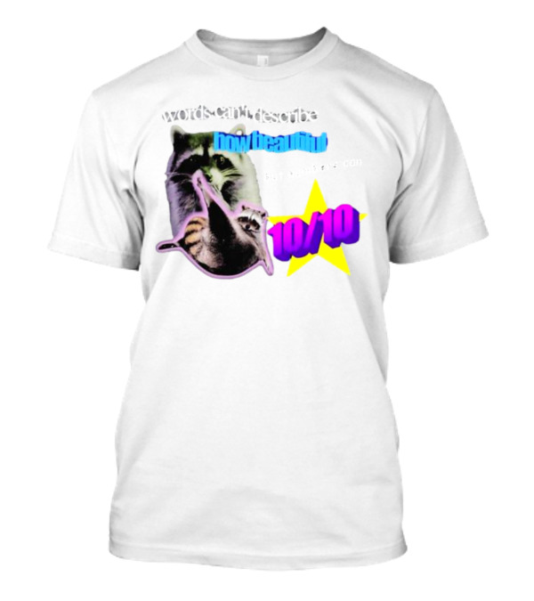 Words Can't Describe How Beautiful I Am But Numbers Can 10/10 Raccoon Star T-Shirt
