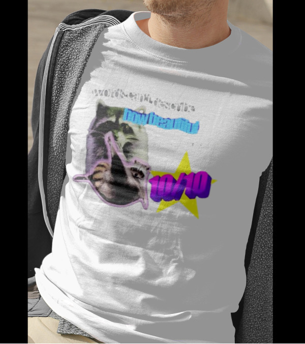 Words Can't Describe How Beautiful I Am But Numbers Can 10/10 Raccoon Star T-Shirt