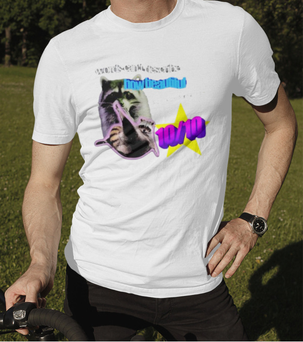 Words Can't Describe How Beautiful I Am But Numbers Can 10/10 Raccoon Star T-Shirt