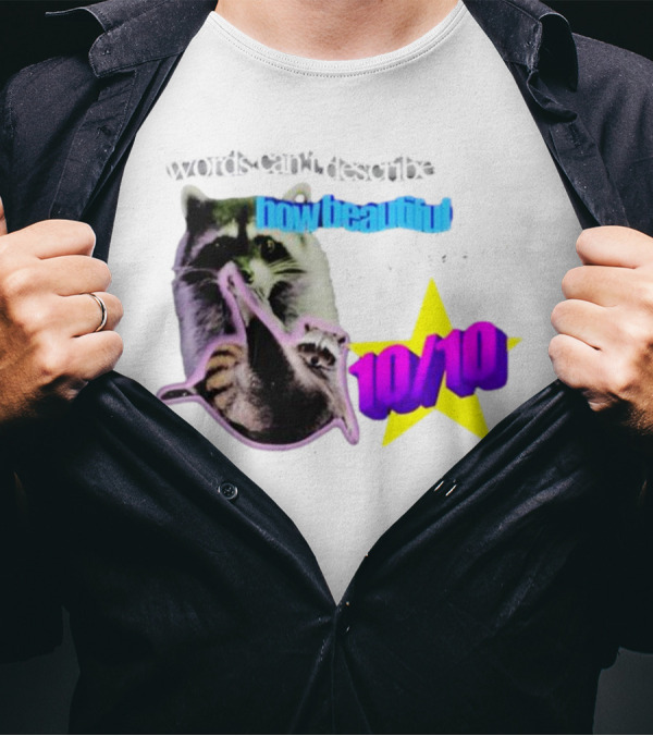 Words Can't Describe How Beautiful I Am But Numbers Can 10/10 Raccoon Star T-Shirt