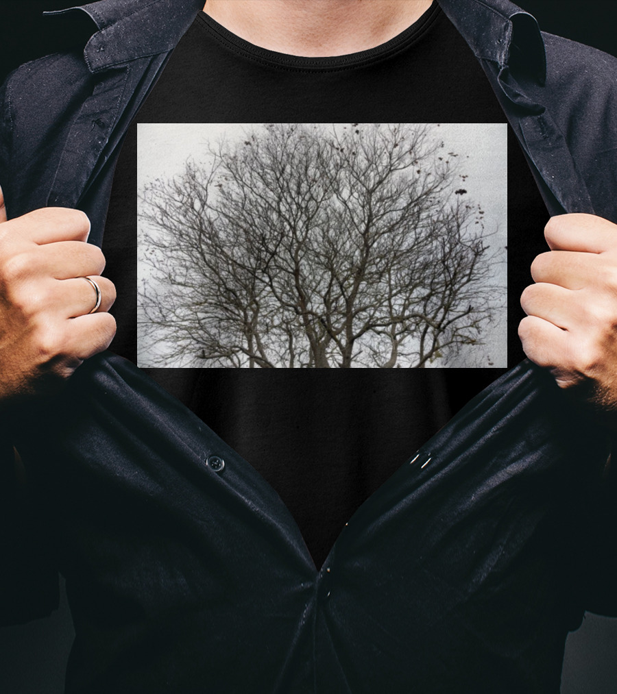 Winters Tracery Bare Tree Branches In Overcast Grey Sky T-Shirt