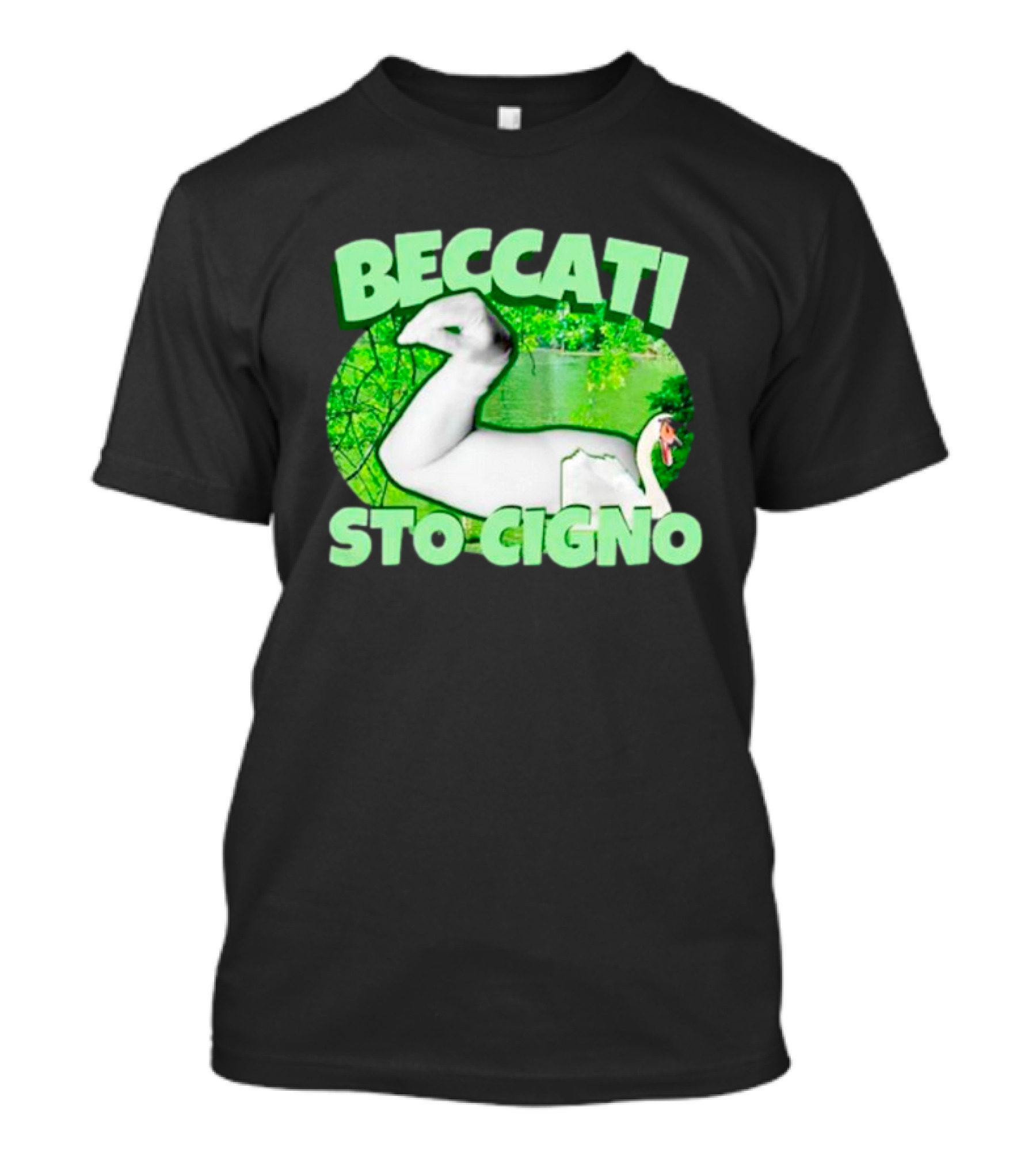 Beccati Sto Cigno Goose Meme - Italian Humor With Green Lake Background T-Shirt