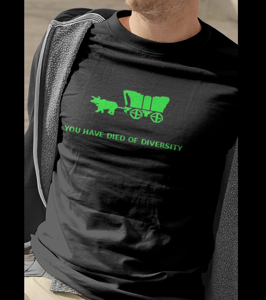You Have Died Of Diversity Oregon Trail Pixel T-Shirt