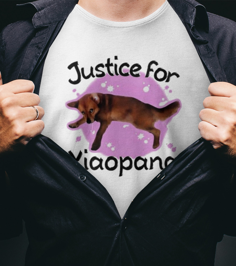 Justice For Xiaopang Cute Animal Pink Starry Circle T-Shirt
