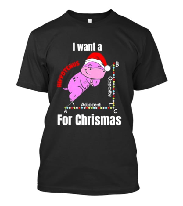 I Want A Hippotenuse ABC Adjacent Opposite For Christmas Cute Hippo T-Shirt