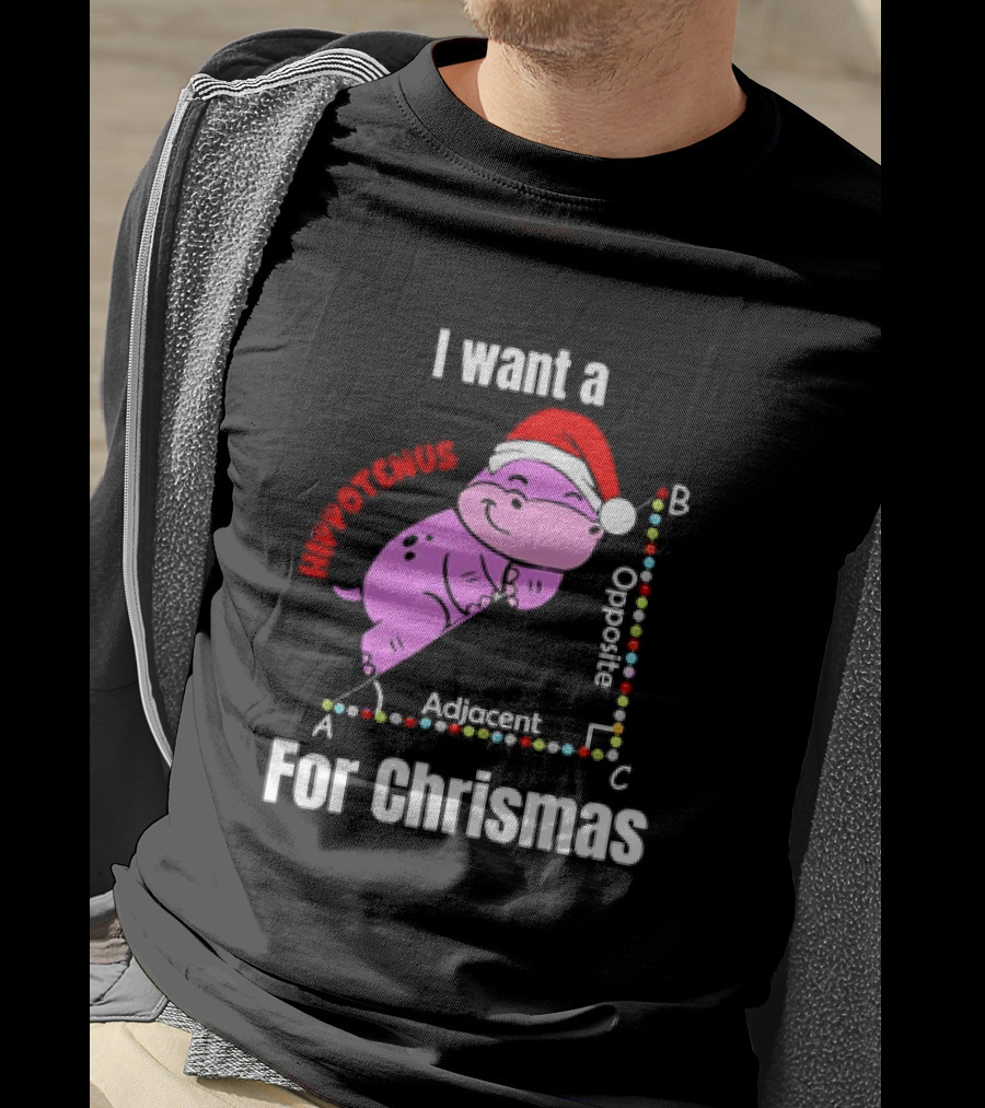 I Want A Hippotenuse ABC Adjacent Opposite For Christmas Cute Hippo T-Shirt