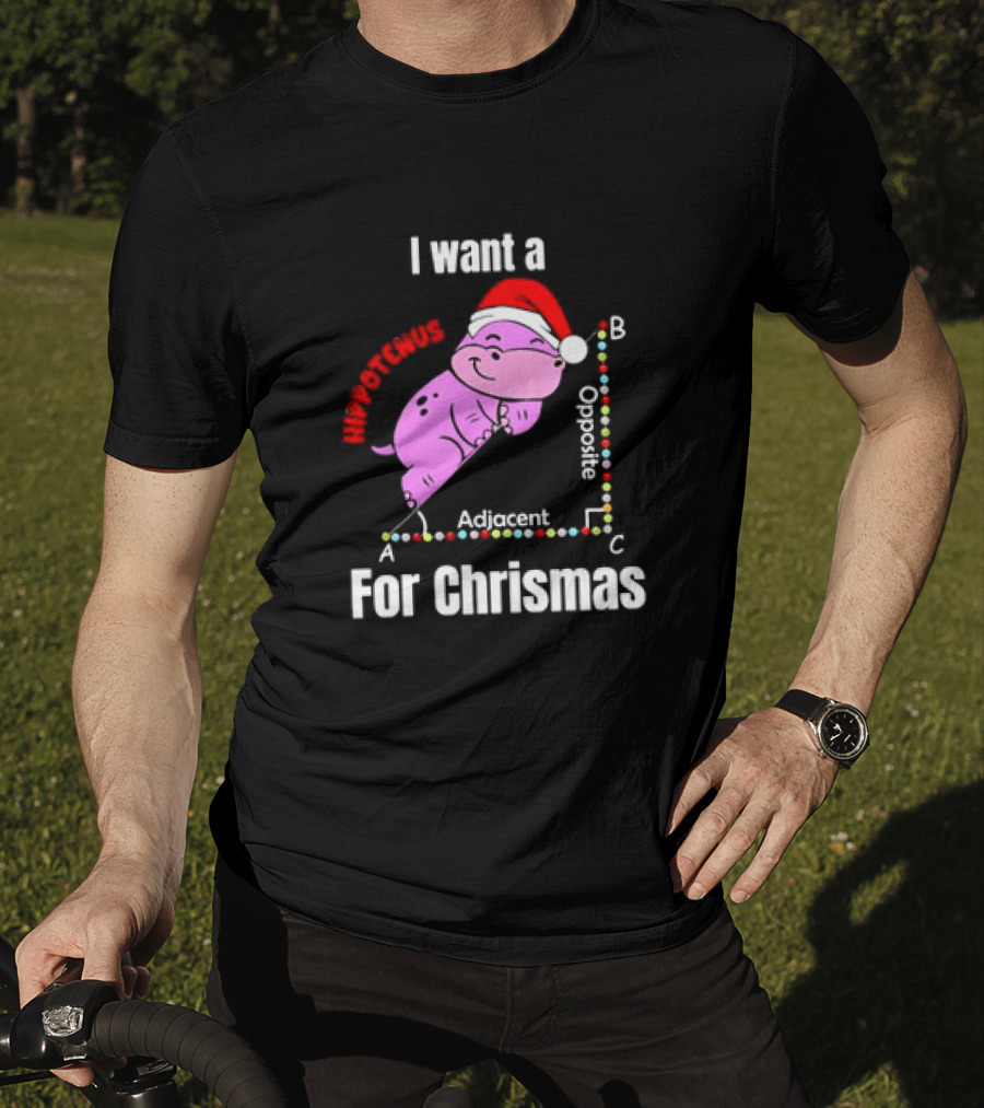 I Want A Hippotenuse ABC Adjacent Opposite For Christmas Cute Hippo T-Shirt