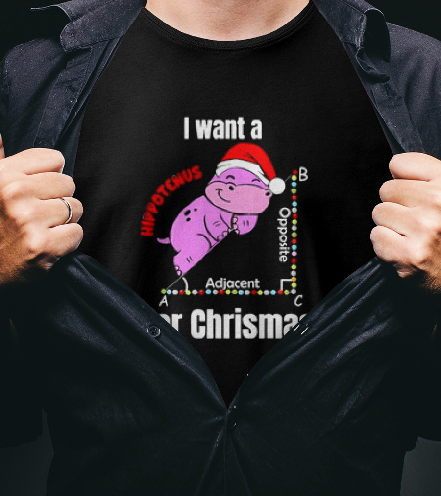 I Want A Hippotenuse ABC Adjacent Opposite For Christmas Cute Hippo T-Shirt