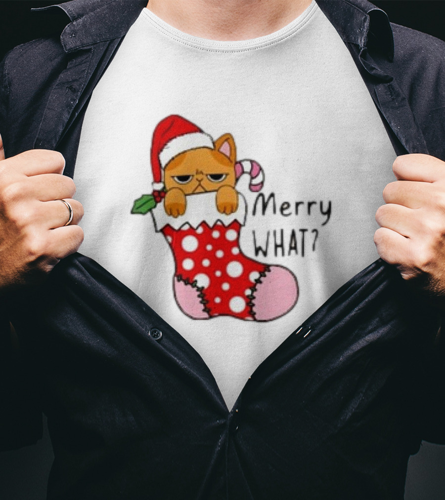Merry What Cat In Santa Hat Christmas Stocking T-Shirt