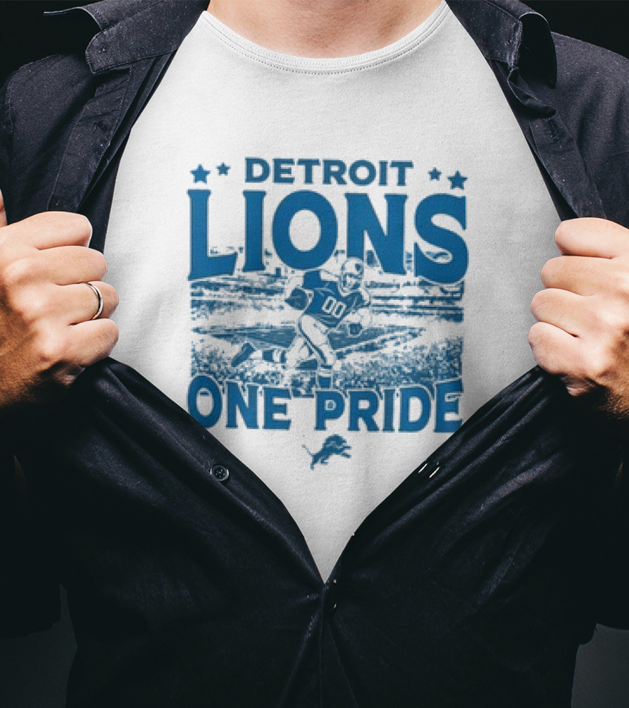 Detroit Lions One Pride Vintage Stadium Gameday T-Shirt