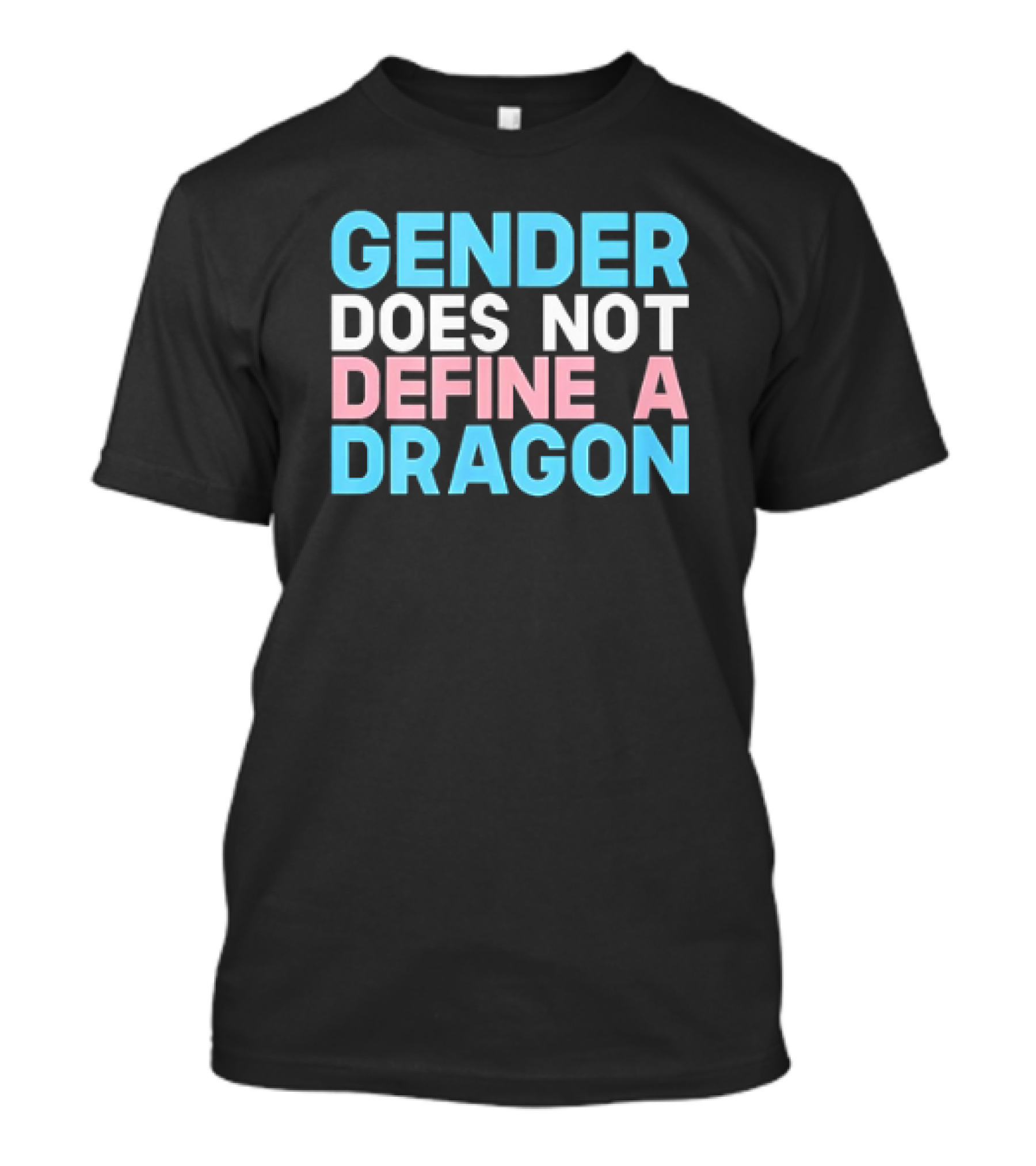 Gender Does Not Define A Dragon T-Shirt
