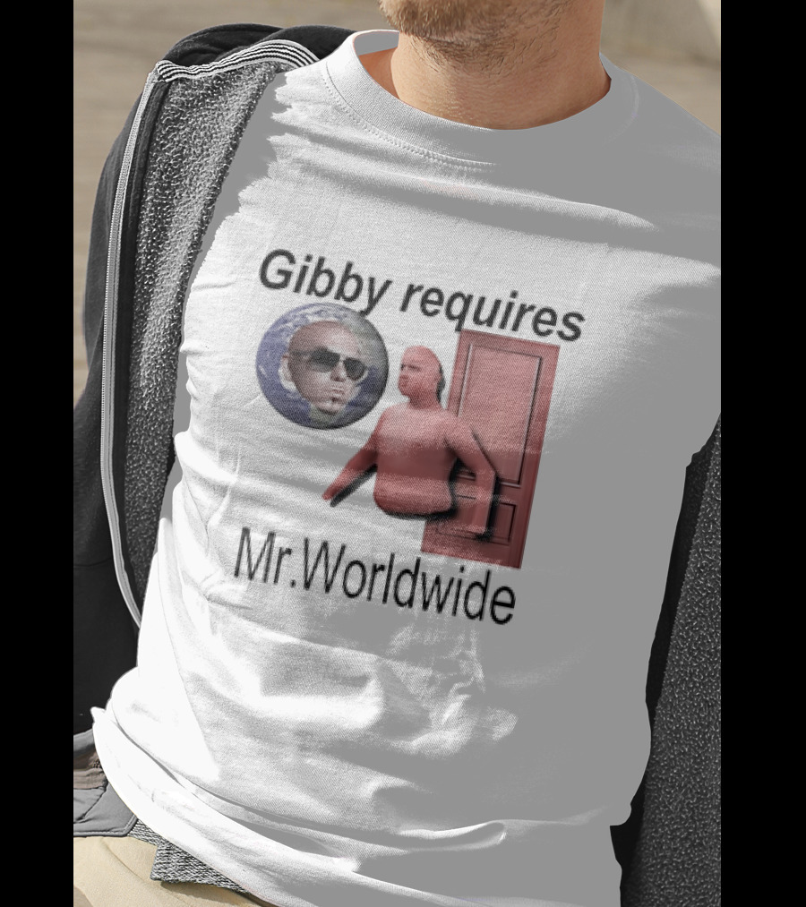 Gibby Requires Mr. Worldwide Door Meme T-Shirt