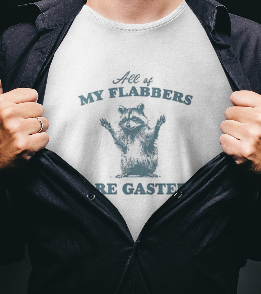 All Of My Flabbers Are Gasted Raccoon T-Shirt