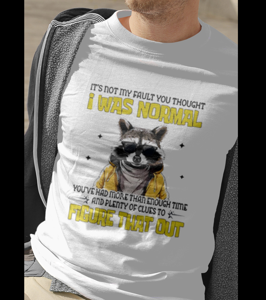 Raccoon It's Not My Fault You Thought I Was Normal You've Had More Than Enough Time And Plenty Of Clues To Figure That Out T-Shirt