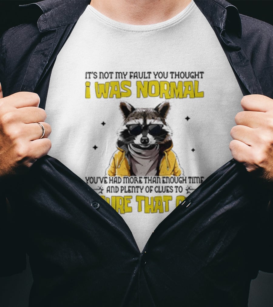 Raccoon It's Not My Fault You Thought I Was Normal You've Had More Than Enough Time And Plenty Of Clues To Figure That Out T-Shirt