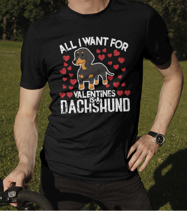 All I Want For Valentines Is A Dachshund Surrounded By Hearts T-Shirt