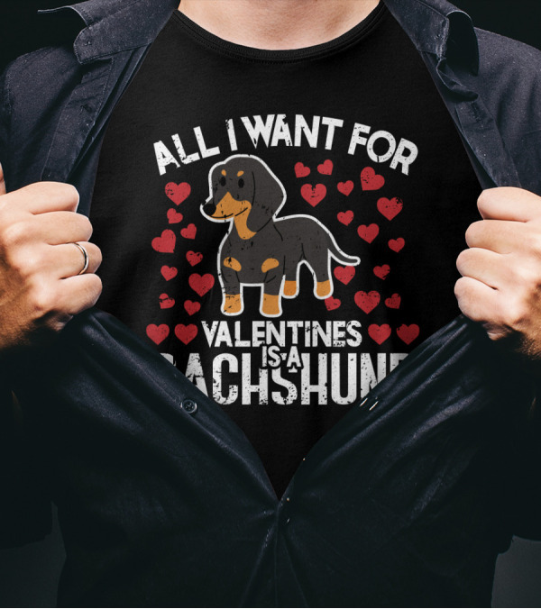 All I Want For Valentines Is A Dachshund Surrounded By Hearts T-Shirt