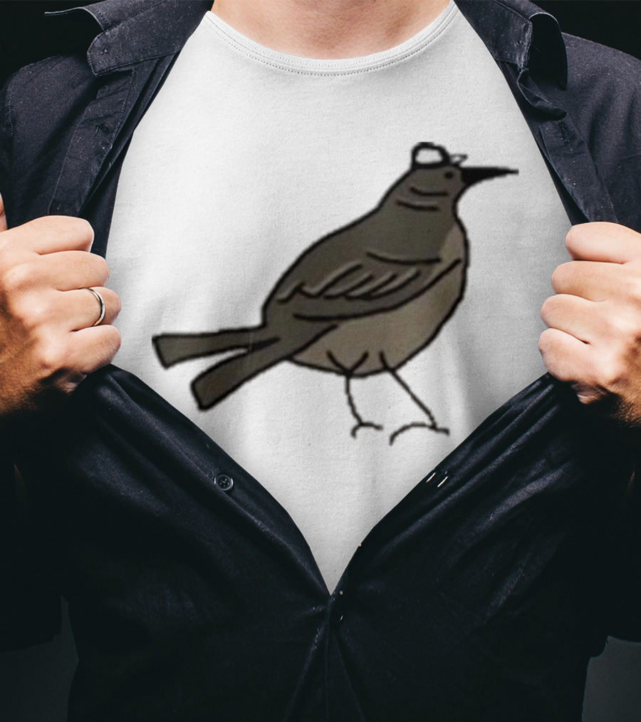 Dallas Stars Mr. Mockingbird Victory Green Bird T-Shirt