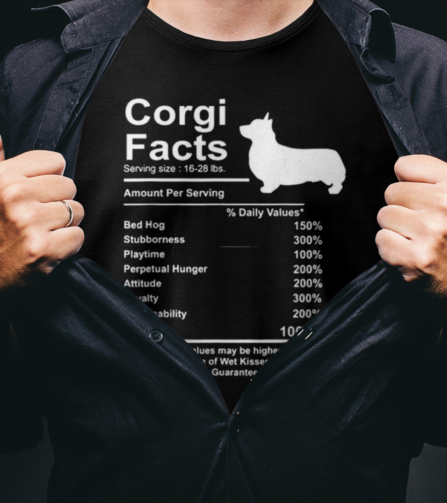 Corgi Facts Love Loyalty Attitude Stubbornness Happiness Guaranteed T-Shirt