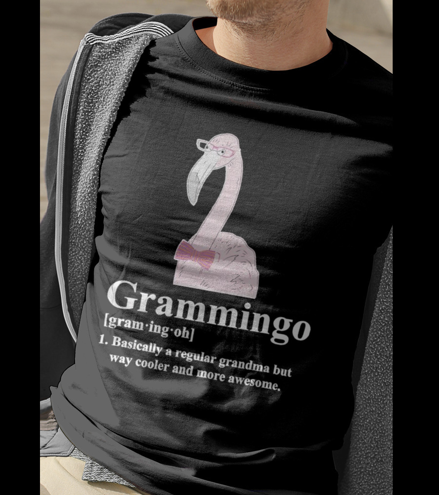 Grammingo Flamingo Grandma Way Cooler Awesome Definition T-Shirt