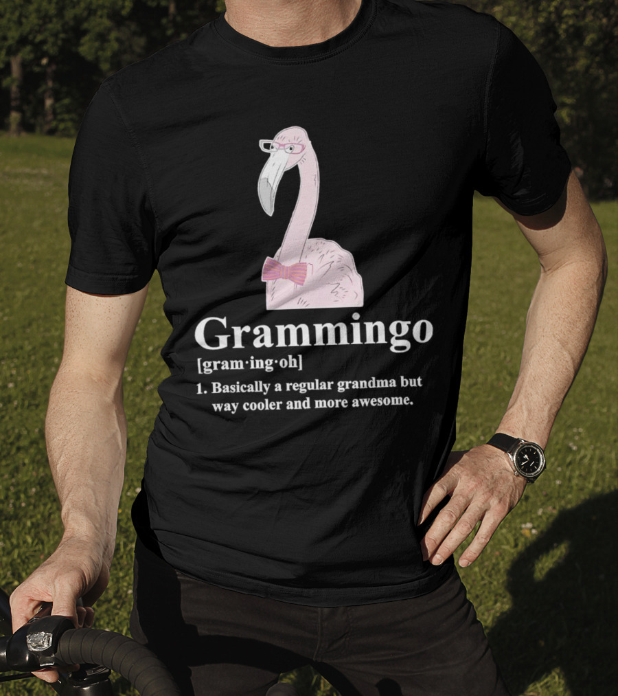 Grammingo Flamingo Grandma Way Cooler Awesome Definition T-Shirt
