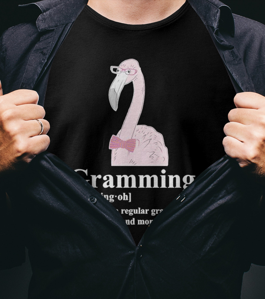 Grammingo Flamingo Grandma Way Cooler Awesome Definition T-Shirt