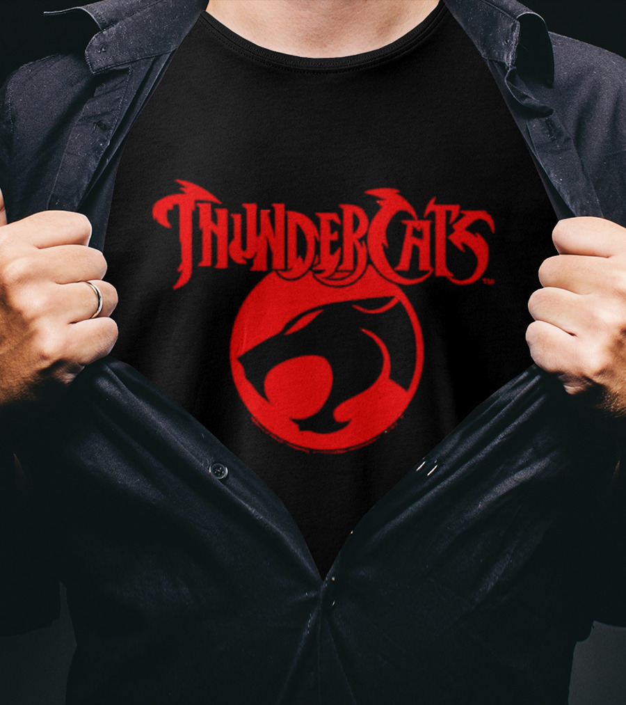 Thundercats Red Emblem Vintage T-Shirt