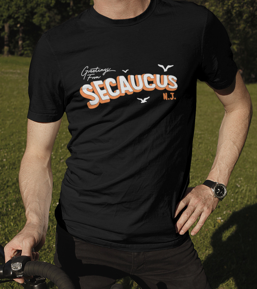 Greetings From Secaucus N.J. Vintage Postcard Style With Seagulls T-Shirt