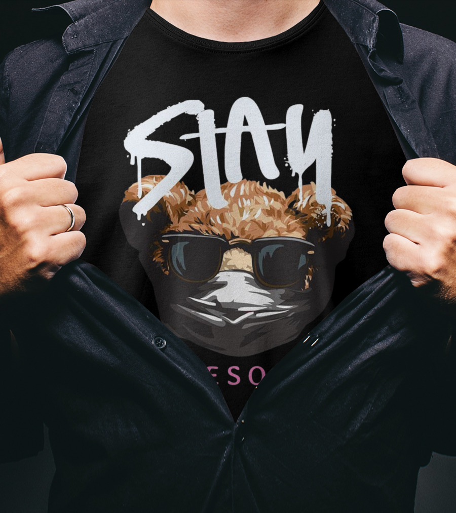 Stay Awesome Masked Bear With Sunglasses T-Shirt